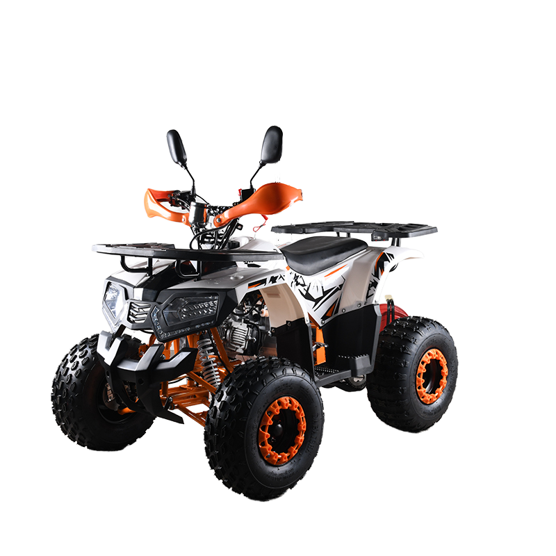 รถเอทีวี 110 ซีซี CE EPA สำหรั - Outdoor Adventure Quad Biking บทวิจารณ์และราคา