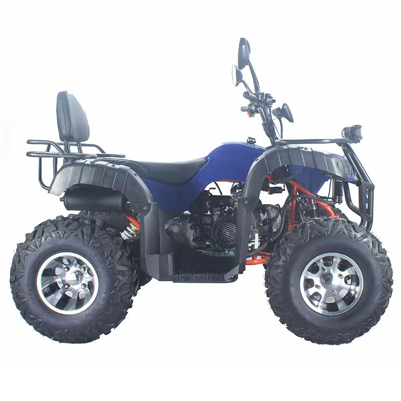 รถบักกี้สำหรับผู้ใหญ่แบบปรับแต - Outdoor Adventure Quad Biking บทวิจารณ์และราคา